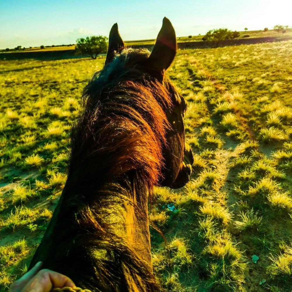 🛑🛑🛑 Shipping Policy 🛑🛑🛑